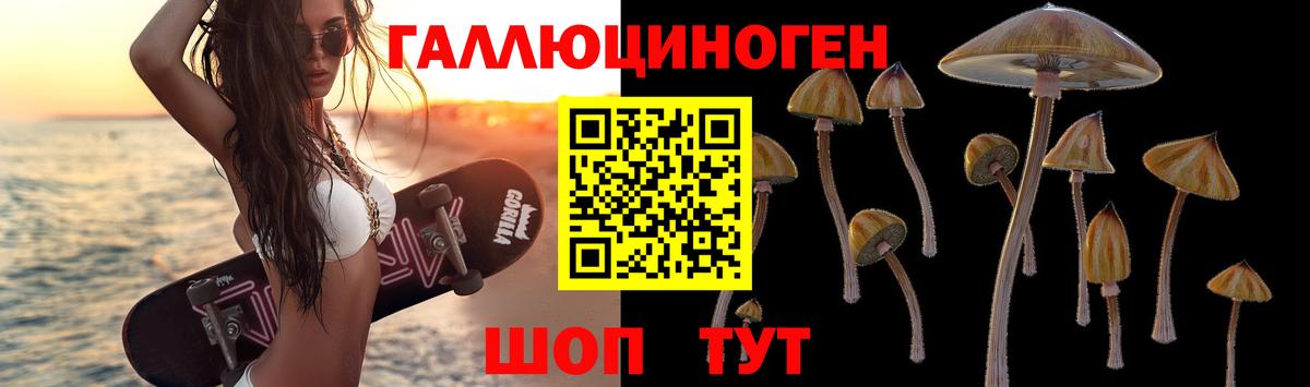 Отрадное  Галлюциногенные грибы Psilocybine cubensis  Вход с VPN  что такое   Псилоцибиновые грибы MAGIC MUSHROOMS 